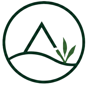 Apex Point Builders logo icon