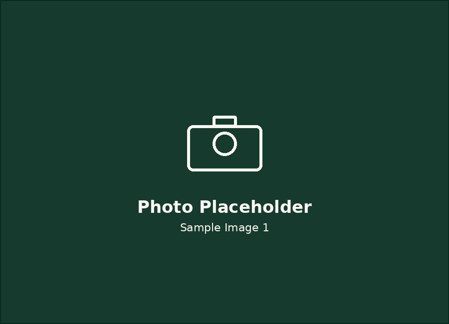 Placeholder photo — sample image 1
